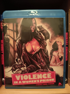 Violence in a Women's Prison