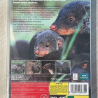 Mangustijengi (2DVD) BBC:n luontodokumentti (UUSI) - pikkukuva 2
