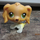 Littlest Pet Shop cockerspanieli. - pikkukuva 2