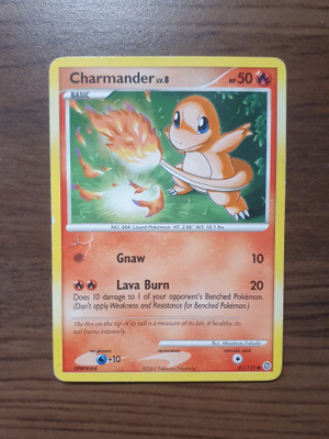 Pokemon Charmander Lv.8 82/132