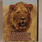 National Geographic: Leijonien Matkassa - pikkukuva 1