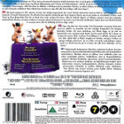 Shrek The Third - (Blu-ray) - pikkukuva 2