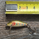 Rapala countdown! - pikkukuva 1