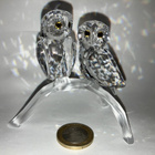 Swarovski kristallifiguriini 1003312 Owls (2009-2016) - pikkukuva 1