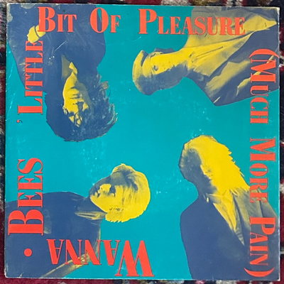 Wanna-Bees - Little Bit Of Pleasure 7" 1987 Gaga Goodies