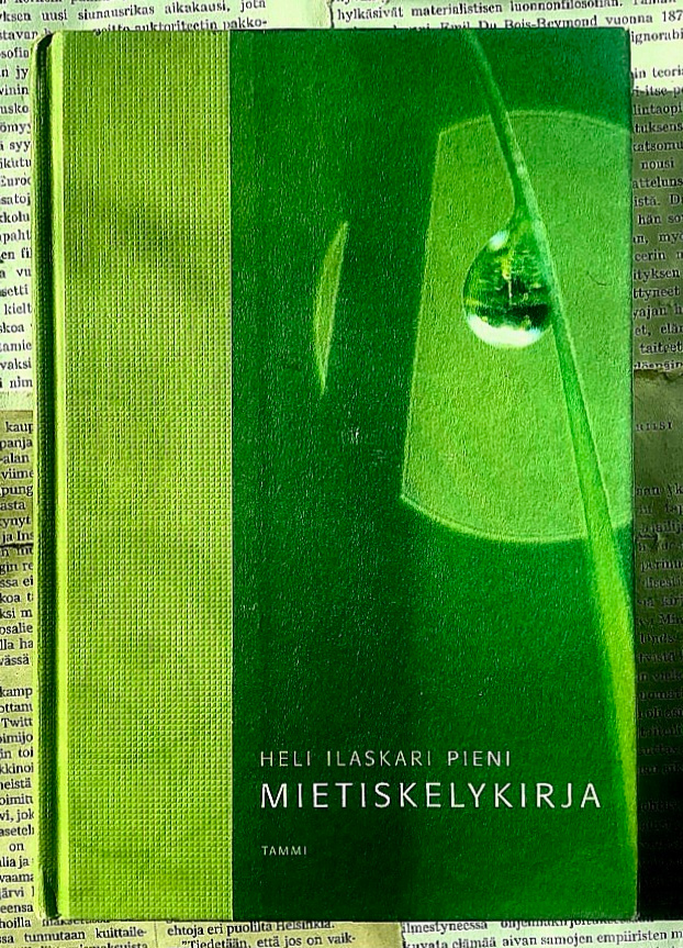 Heli Ilaskari - Pieni mietiskelykirja (sid.)