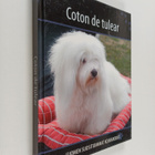 Coton de tulear - pikkukuva 1