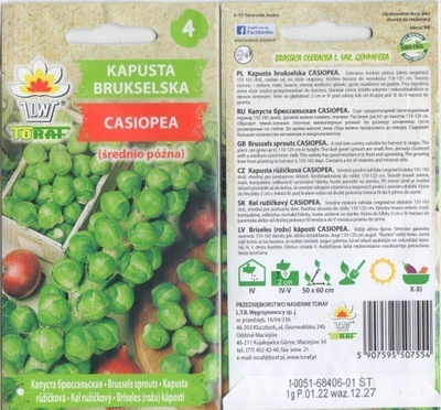 Ruusukaali "Casiopea" siemenet #