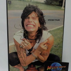 AEROSMITH - STEVEN TYLER & JOE PERRY NIMIKIRJOITUKSET - pikkukuva 2