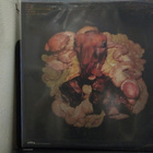 BURNING LOVE - ROTTEN THING TO SAY US 2012  UUSI LP - pikkukuva 2