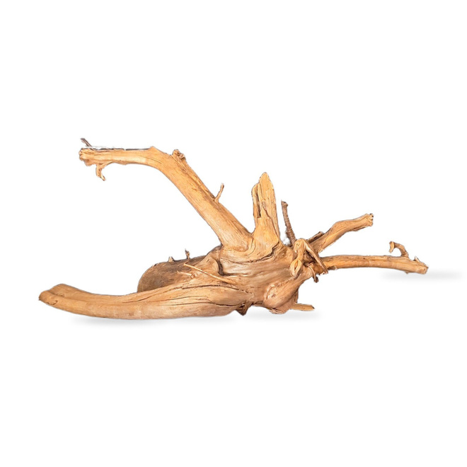 Uniikki akvaariojuurakko 40 cm | 162638