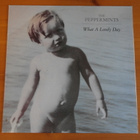 The Peppermints:What A Lovely Day LP.Suomirock. - pikkukuva 1