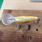 Salmo Floating 3,5cm - pikkukuva 4