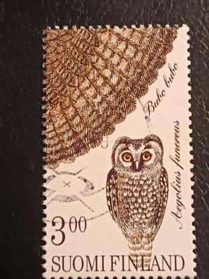 -98 Pöllöjä