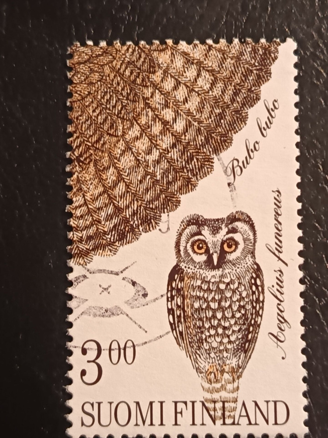 -98 Pöllöjä