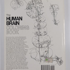 Marian C. Diamond : The human brain coloring book - pikkukuva 2