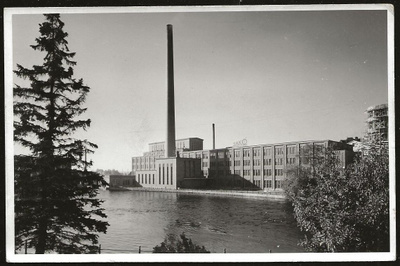 Tampere Tako