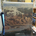 TURTLE SOUP - TURTLE SOUP LP ORIG US -69 EX+/EX+ - pikkukuva 2