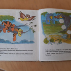 Walt Disney : Nalle Puh ja hänen ystävänsä - pikkukuva 3
