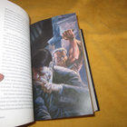 Stephen King: Musta torni 5: Callan sudet ( hienokunto ) - pikkukuva 5