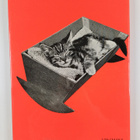 Ron Spillman : Cat's cradle - pikkukuva 2
