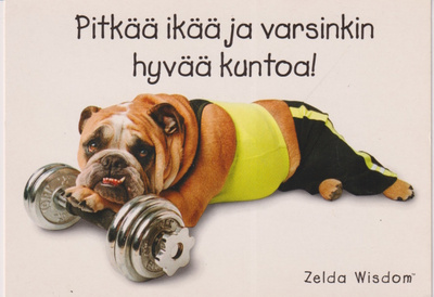 ONNITTELU POSTIKORTTI - KARTO