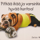 ONNITTELU  POSTIKORTTI  -  KARTO - pikkukuva 1