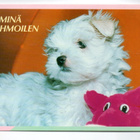 Kaunissaaari:  (erikoisleima 1.6.1993) - pikkukuva 2