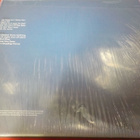 ROGER DALTREY - AS LONG AS I HAVE YOU M/M LP - pikkukuva 2