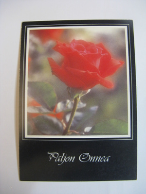 Kaunis ruusu-Paljon onnea