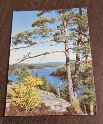 Maisema Kolilta? Kulkenut postikortti