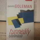 Daniel Goleman - Tunneäly työelämässä (pokkari) - pikkukuva 1