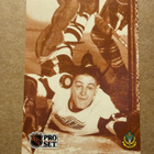 1991-92 Pro Set French #343 Terry Sawchuk - pikkukuva 1