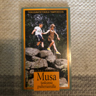 Hyttinen: Musa taskussa pulteriairalla. 1999. 1.p. - pikkukuva 1