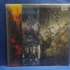SANTANA - SPIRITS DANCING IN THE FLESH M-/M- EU -90 PRESS LP - pikkukuva 2