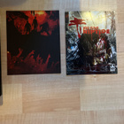 Dead Island Riptide Zombie Bait Edition(PAL)(CIB) - pikkukuva 4