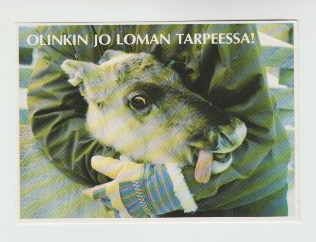 Postikortti, LAPPI, Poromiehen halaus