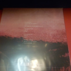 HURTS- SURRENDER M-/M- 2LP - pikkukuva 2