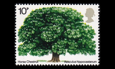 Iso-Britannia 645 ** Puu (1974)