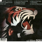 THE NEW TIGERS - pikkukuva 2