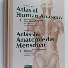 Petra Köpf-Maier : Wolf-Heidegger's atlas of human anatom... - pikkukuva 1