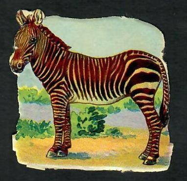 ALE - Wanha - Upea seepra - 1900-luvun alku