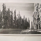 VANHA Postikortti Kuopio 1950-l Alkup.Mallikappale - pikkukuva 1