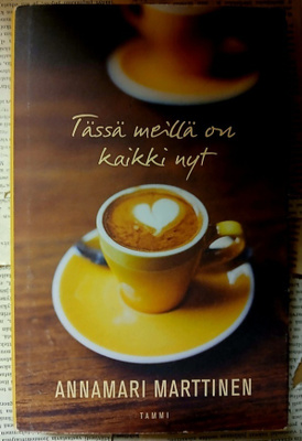 Annamari Marttinen - Tässä meillä on kaikki nyt (sid.)