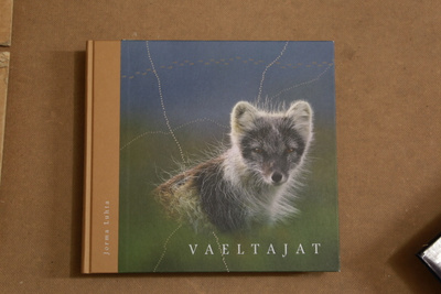 Jorma Luhta Vaeltajat A3