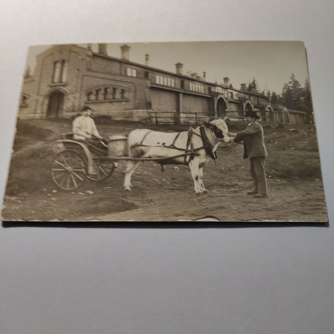NOKIA, KARTANON KIVINAVETTA 1910-LUVULLA