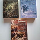 Salvatore, R. A.: Forgotten Realms: Metsästäjän miekat - pikkukuva 2