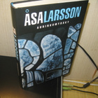 Åsa Larsson: Aurinkomyrsky - pikkukuva 1