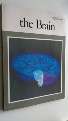 The Brain