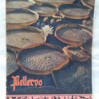 Pellervo No 14 heinäkuu 1957 - pikkukuva 1